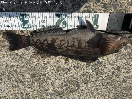 �����ʥ�