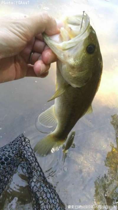 �֥�å��Х�