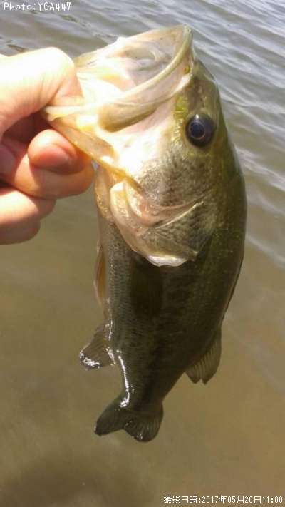 �֥�å��Х�