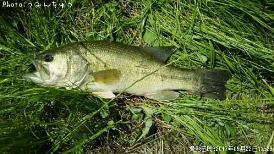 �֥�å��Х�