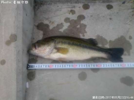 �֥�å��Х�