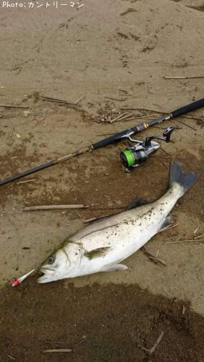 �����Х�