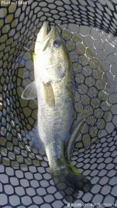 �֥�å��Х�