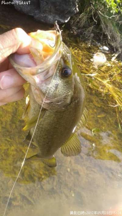 �֥�å��Х�