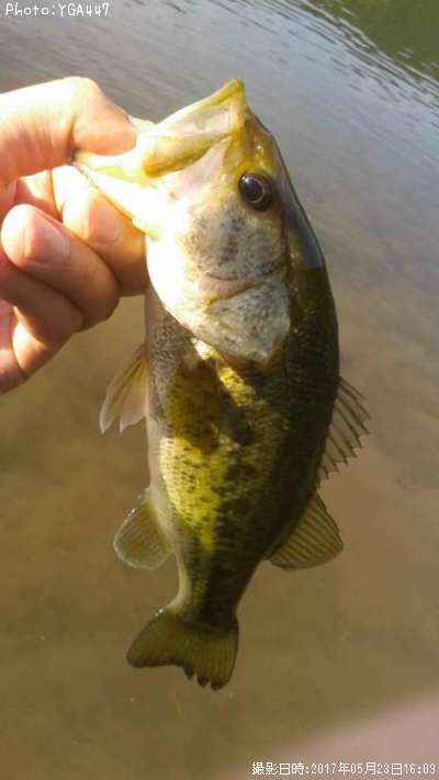 �֥�å��Х�