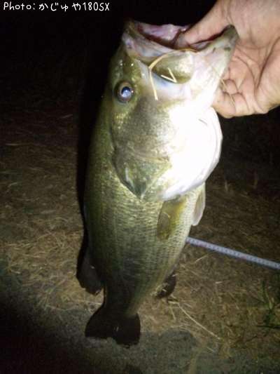 �֥�å��Х�