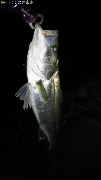 �����Х�