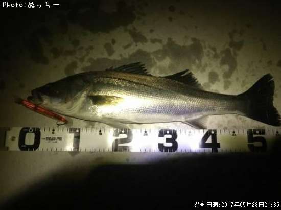 �����Х�