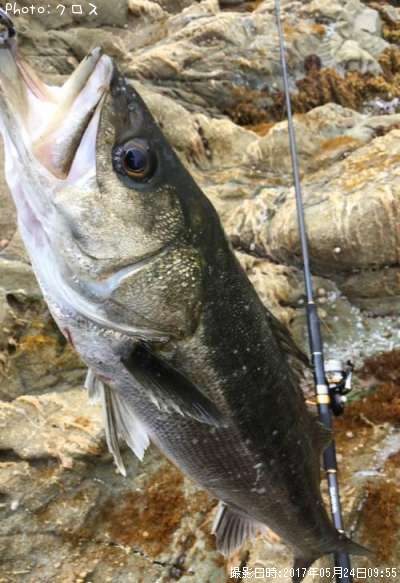 �����Х�