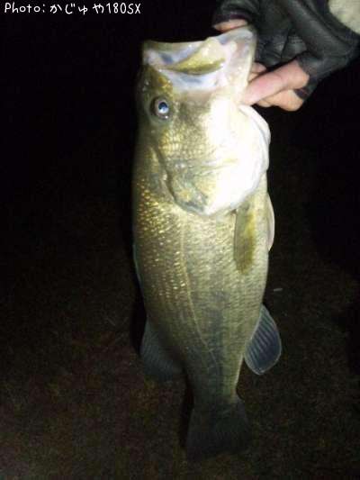 �֥�å��Х�