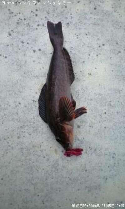 �����ʤ�