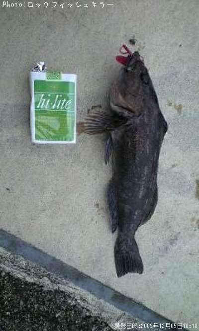 �����ʤ�