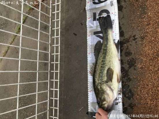 �֥�å��Х�