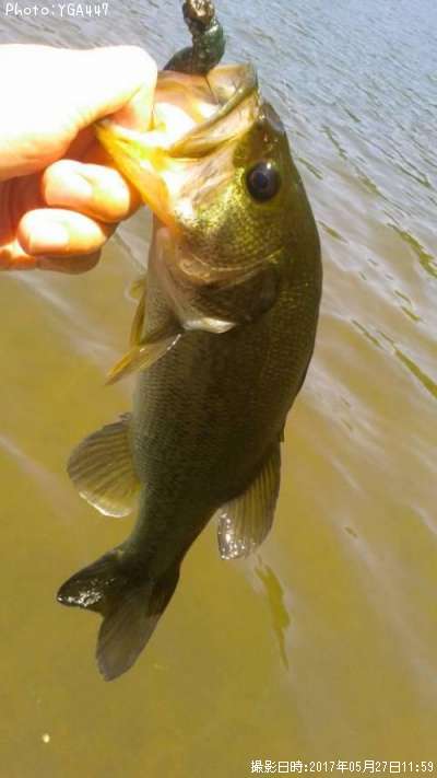 �֥�å��Х�