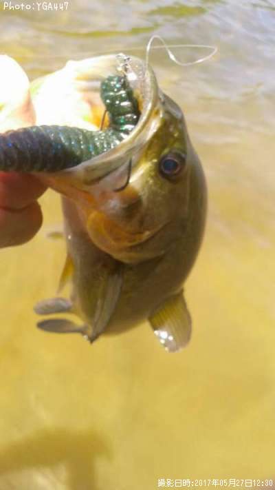 �֥�å��Х�