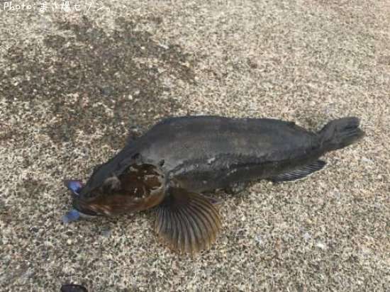 �����ʥ�