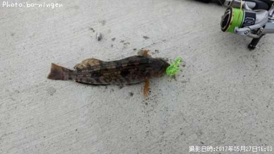 �����ʥ�