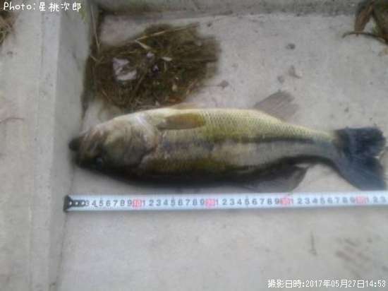 �֥�å��Х�