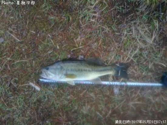 �֥�å��Х�