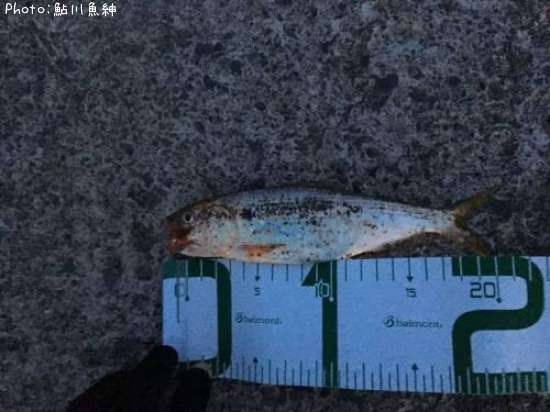 ���Υ���