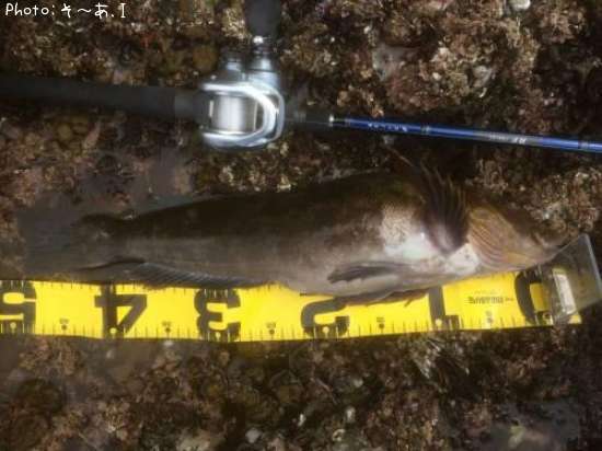 �����ʥ�