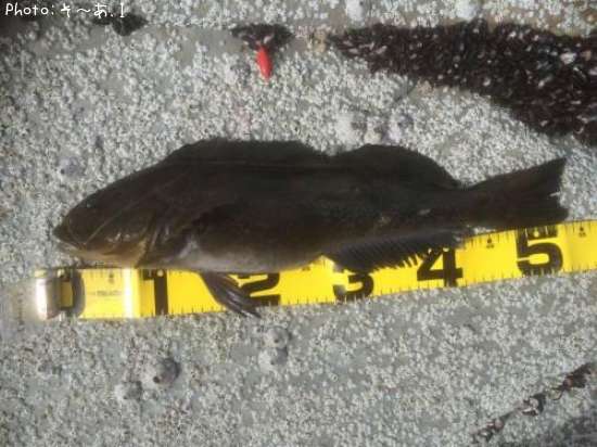 �����ʥ�