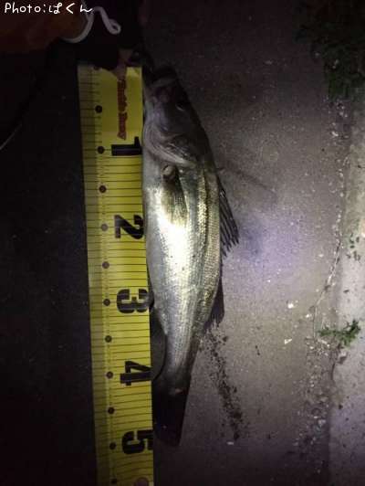 �����Х�