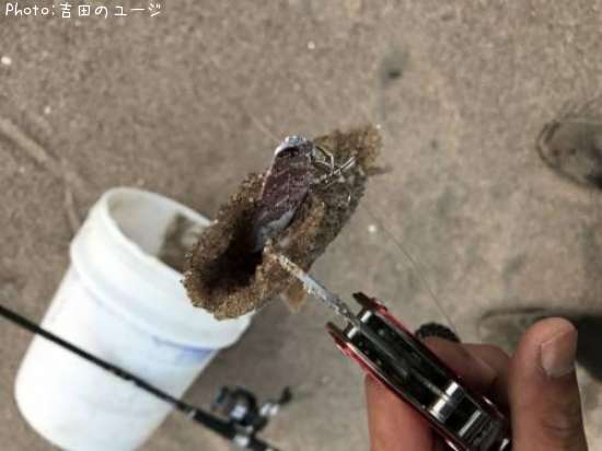 �ޥ���