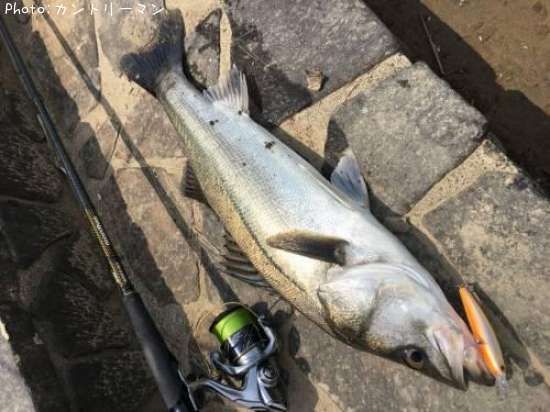 �����Х�