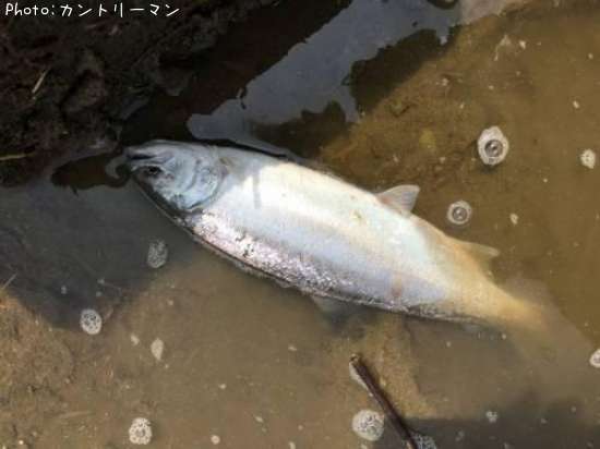 ������ޥ�