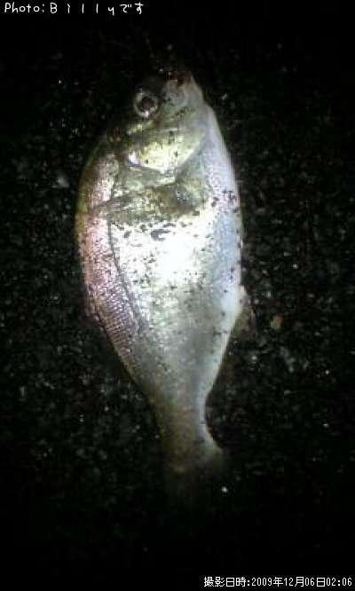 �����ʥ�