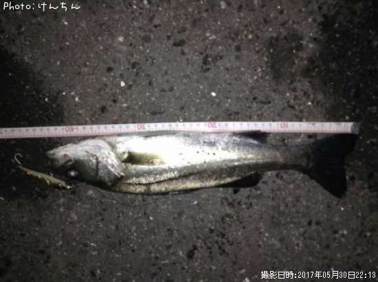 �����Х�