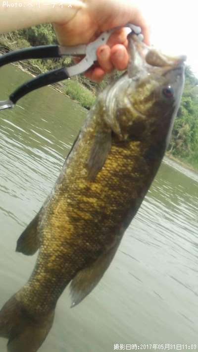 ���⡼��ޥ����Х�