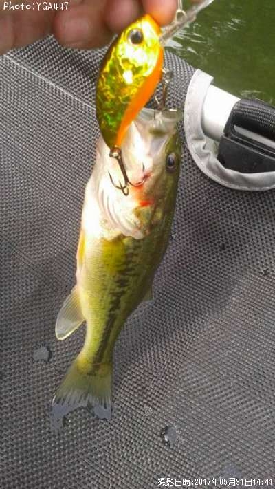 �֥�å��Х�