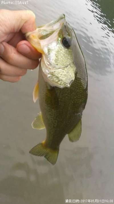 �֥�å��Х�