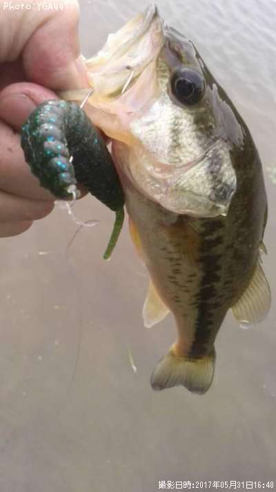 �֥�å��Х�