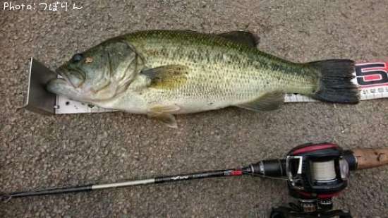 �֥�å��Х�