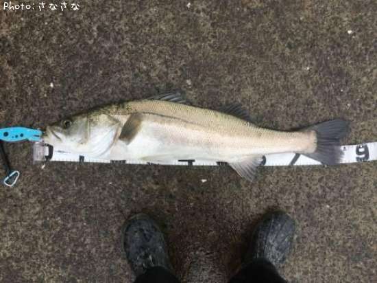 �����Х�