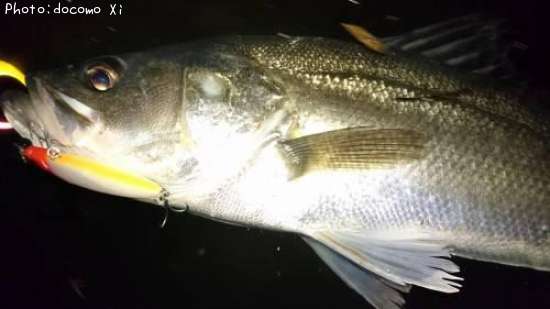 �����Х�