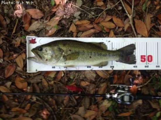 �֥�å��Х�