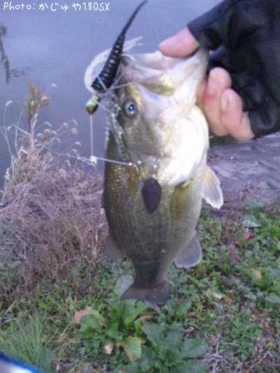 �֥�å��Х�