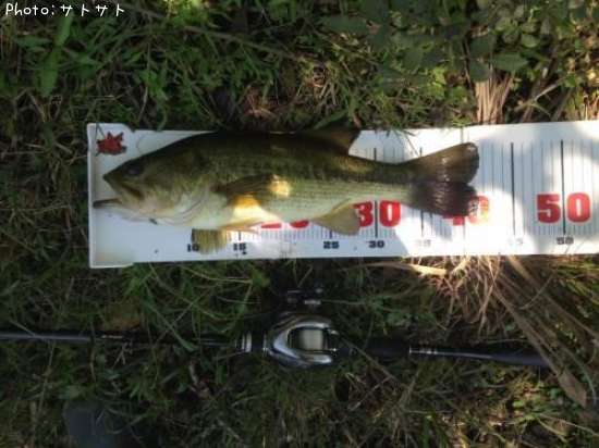 �֥�å��Х�