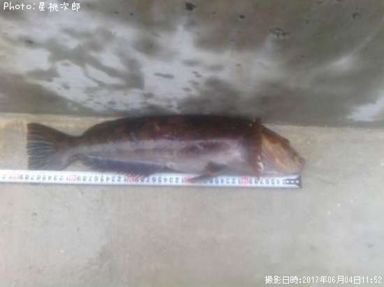 �����ʥ�