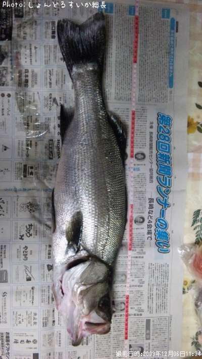 �ҥ饹����