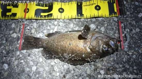 ��Х�������Х�