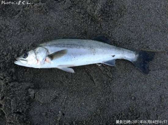 �����Х�