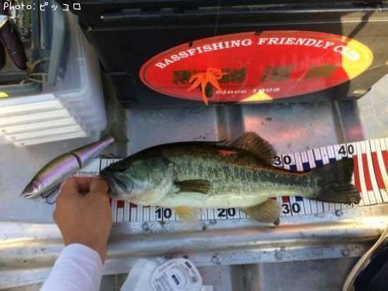 �֥�å��Х�