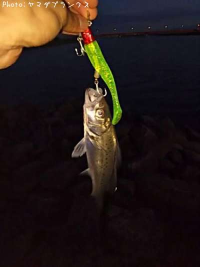 �����Х�