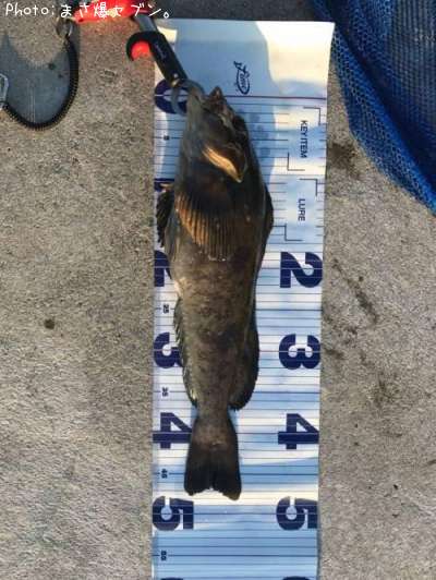 �����ʥ�