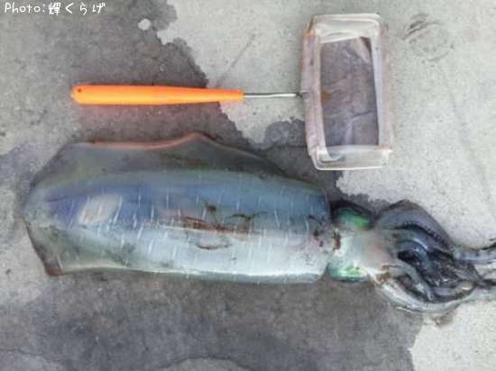 �����ꥤ��